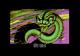 Rattle Snake